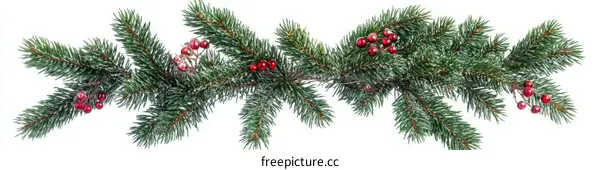 Christmas Fir Branches with Berries Decoration