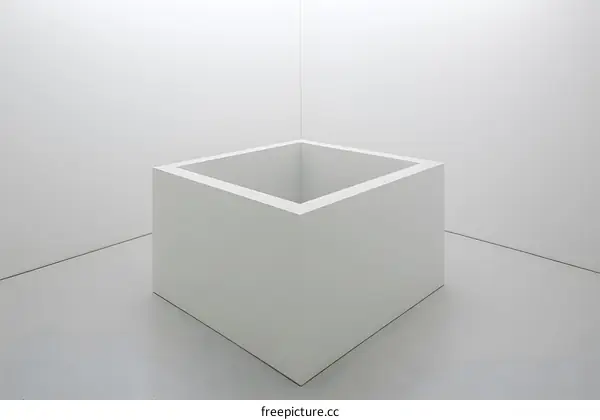 White Cube in a White Room Minimalist Interior Design