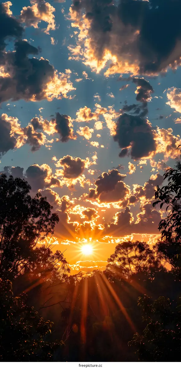Golden Sunset Sky with Clouds and Trees