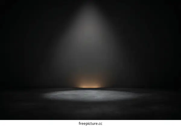 Spotlight on a Dark Concrete Studio Background