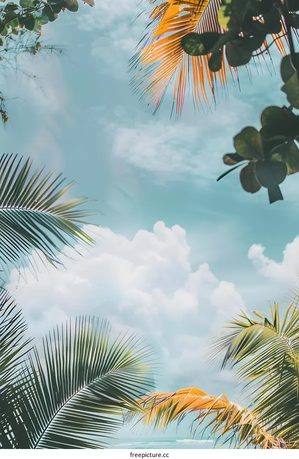Tropical Palm Tree Leaves Against a Blue Sky with White Clouds