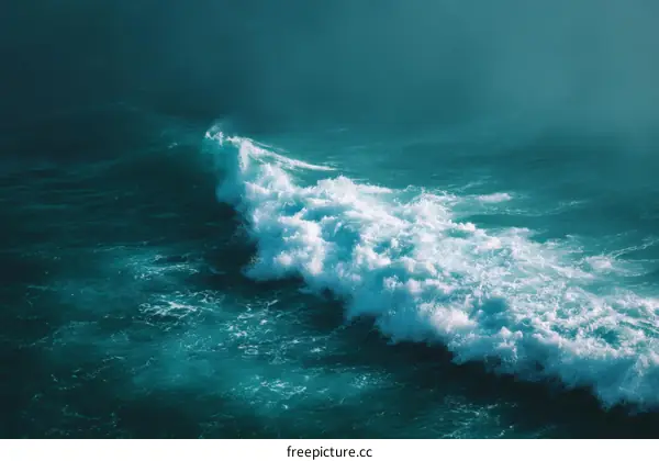 Powerful Ocean Wave Crashing