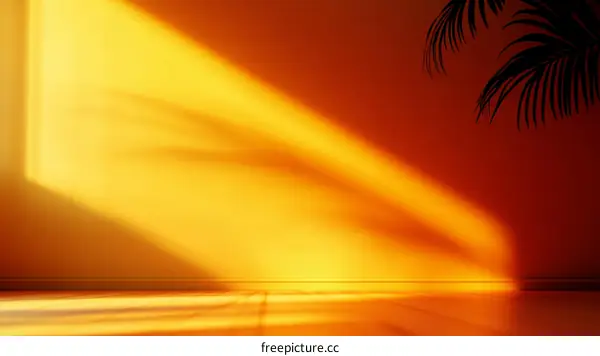 Sunrise Interior Empty Room with Sunlight and Palm Shadow