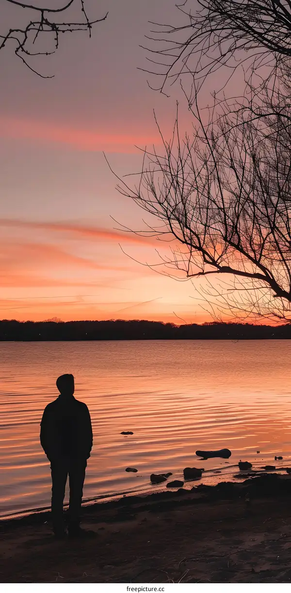 Silhouette of a Man Watching the Sunset over the Lake