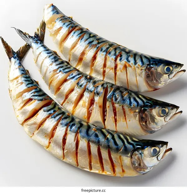 Three Grilled Mackerel Fillets