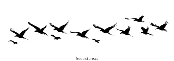 A Flock of Birds in Flight