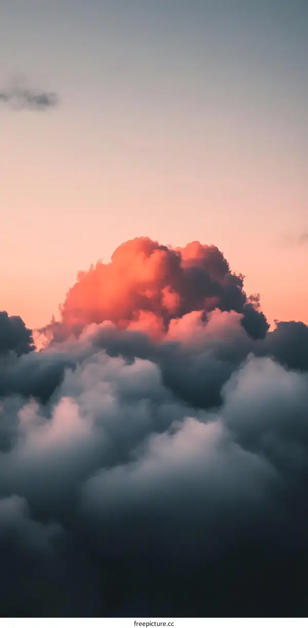 Pink Clouds in the Sky at Sunset