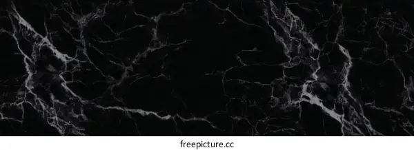 Elegant Black Marble Texture Background