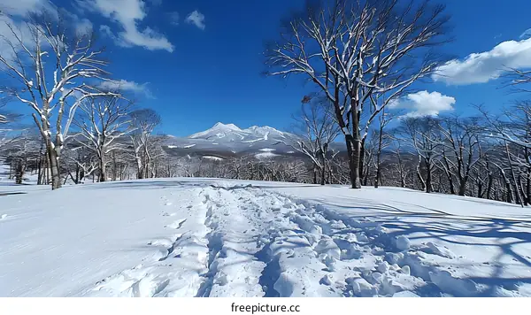Snowy Path Leading to Mountain View in Winter