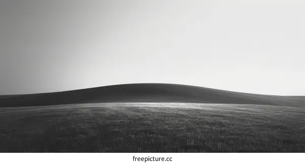 Black and White Landscape with Field in Countryside