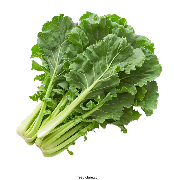 [Transparent Background PNG]Fresh Green Collard Greens