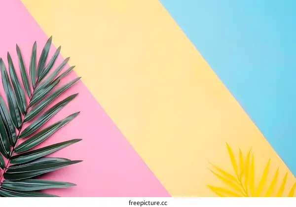 Tropical Leaf on Colorful Background