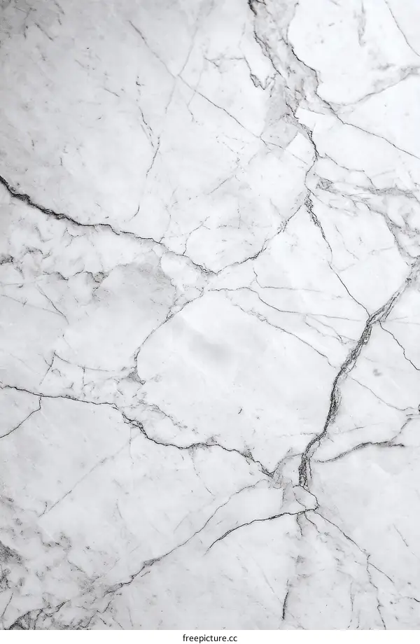 Elegant White Marble Texture Background