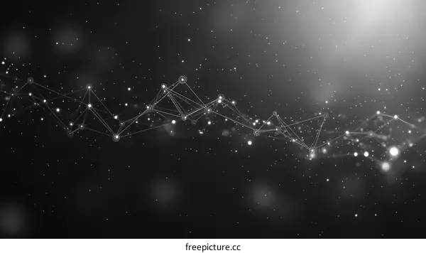 Abstract Network Connections in a Digital Landscape