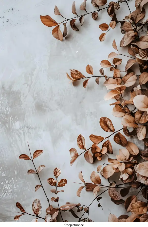 Dried Leaves on White Background