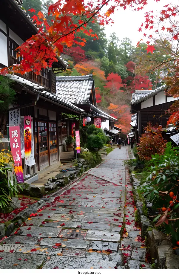 Traditional Japanese Village Street with Autumn Foliage