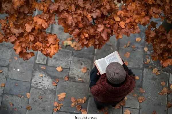 Woman Reading Book Under Autumn Leaves