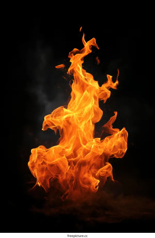 Fiery Flames Against a Black Background