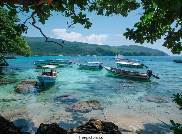 Clear Water and Boats Anchored in the Bay