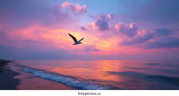 Stunning Sunset Over the Ocean with a Bird in Flight