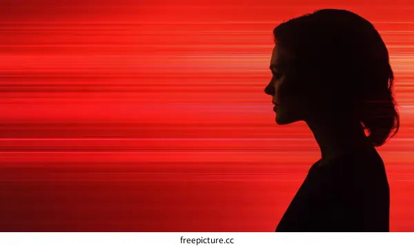 Silhouette Profile of a Woman against Red Streaks