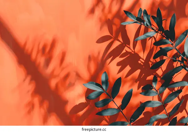 Green Leaves Shadow on Orange Wall