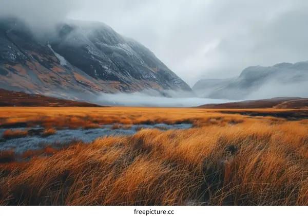 Golden Grass Field and Misty Mountains