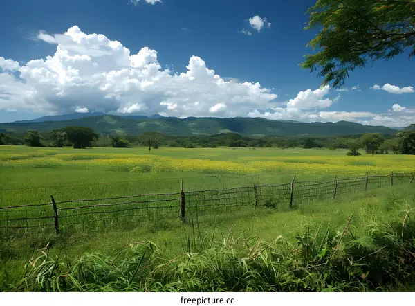 Green Field With Mountain View And Fence