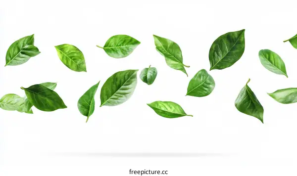 Falling Green Leaves Background Image