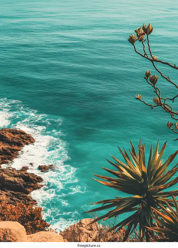 Ocean View From Cliff With Green Plant
