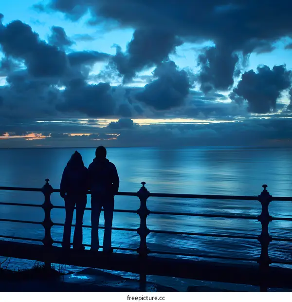 Silhouettes of Two People Standing on a Railing Looking Out at the Ocean