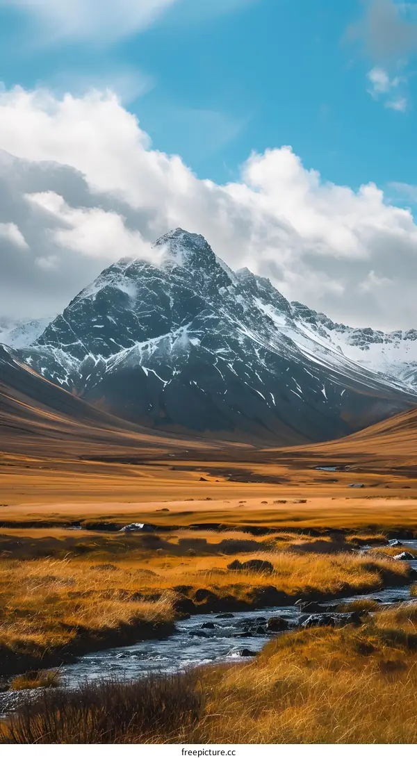 Snowy Mountain Peak with Stream in Front