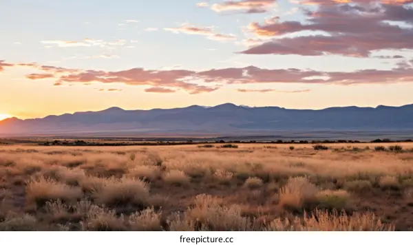 Vast Grassland Landscape with Mountain Range in the Distance