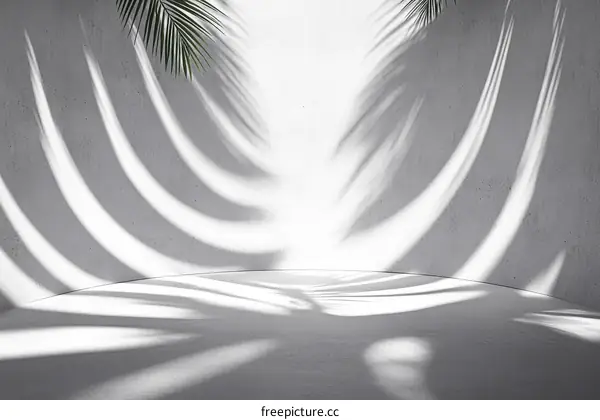 Abstract Concrete Interior with Palm Leaf Shadows