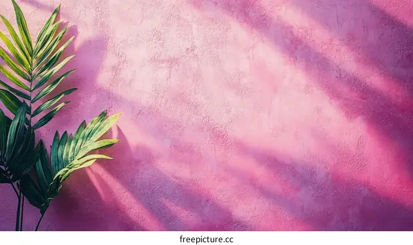 Pink Wall with Tropical Plants and Shadows