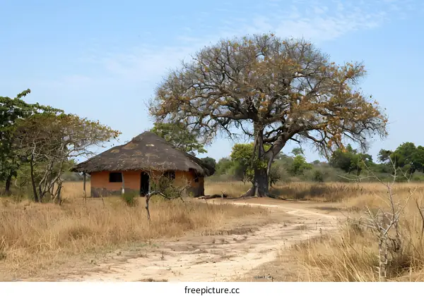 Solitary Hut in the African Savanna
