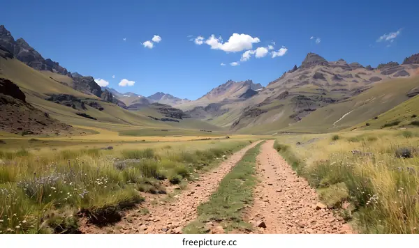 Mountain Valley with Dirt Road and Lush Grass
