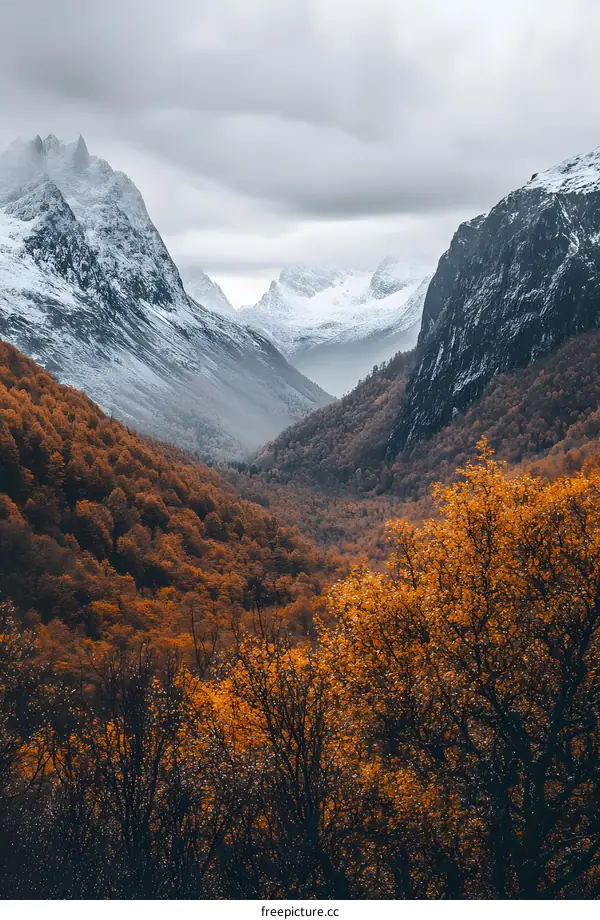 Autumn Foliage in a Mountain Valley with Snow Covered Peaks