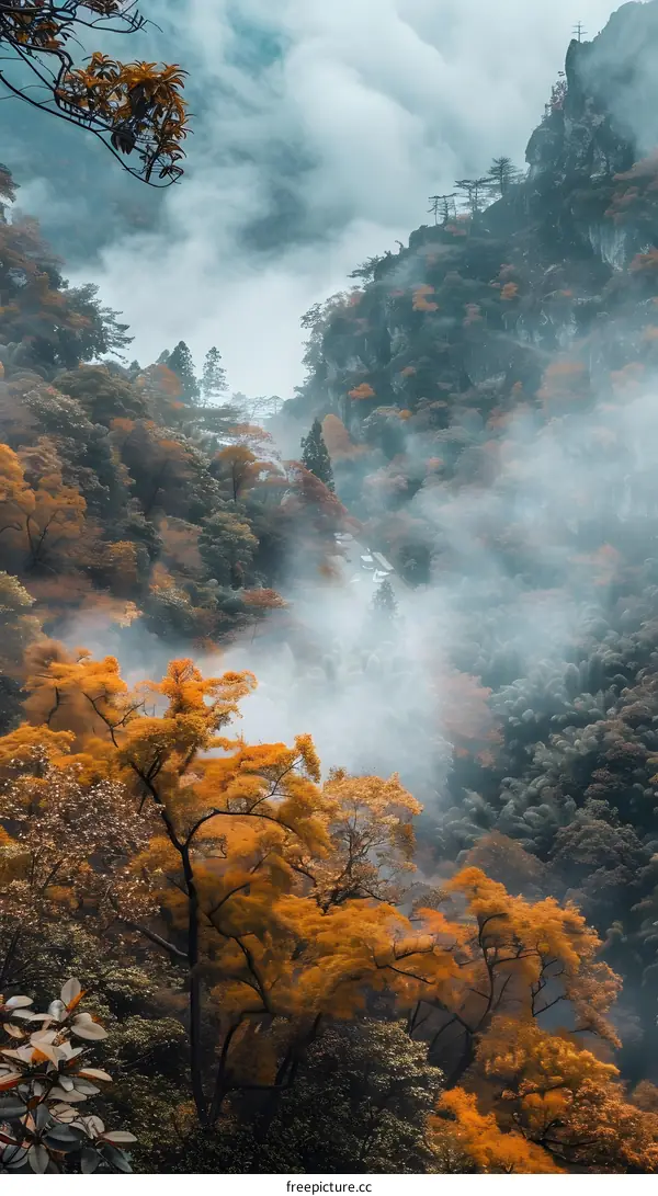 Mountain Landscape With Foggy Trees