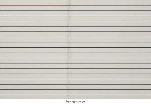 Blank Lined Notebook Paper Texture