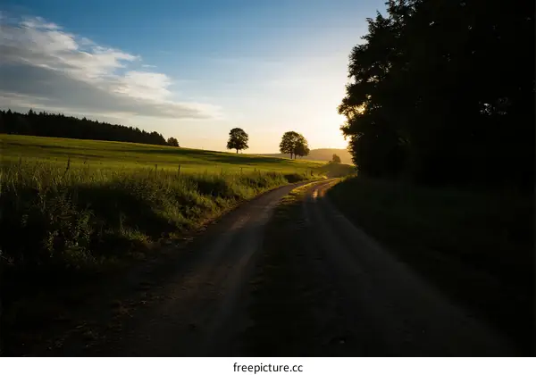 Sunset over a peaceful country road with green fields and trees