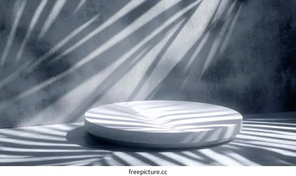 Empty White Concrete Podium Display Under Palm Tree Shadows