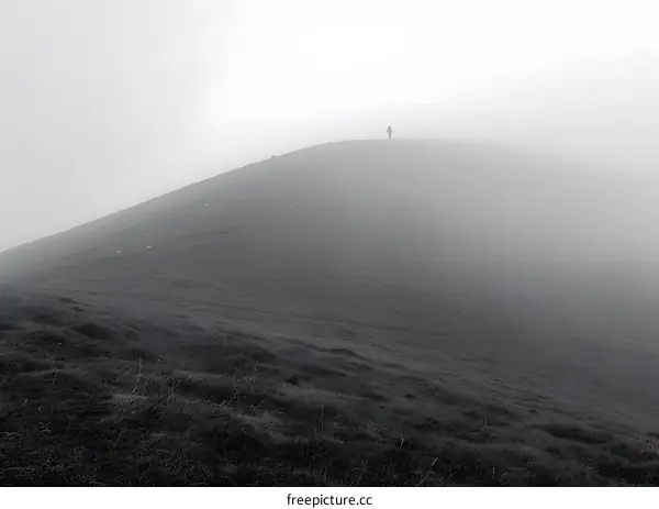 Lone Figure on a Foggy Hilltop