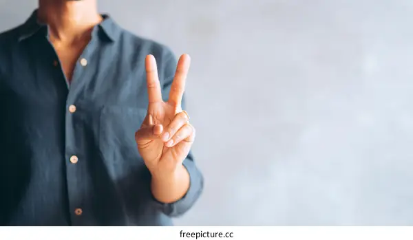 Person Making a Peace Sign Gesture
