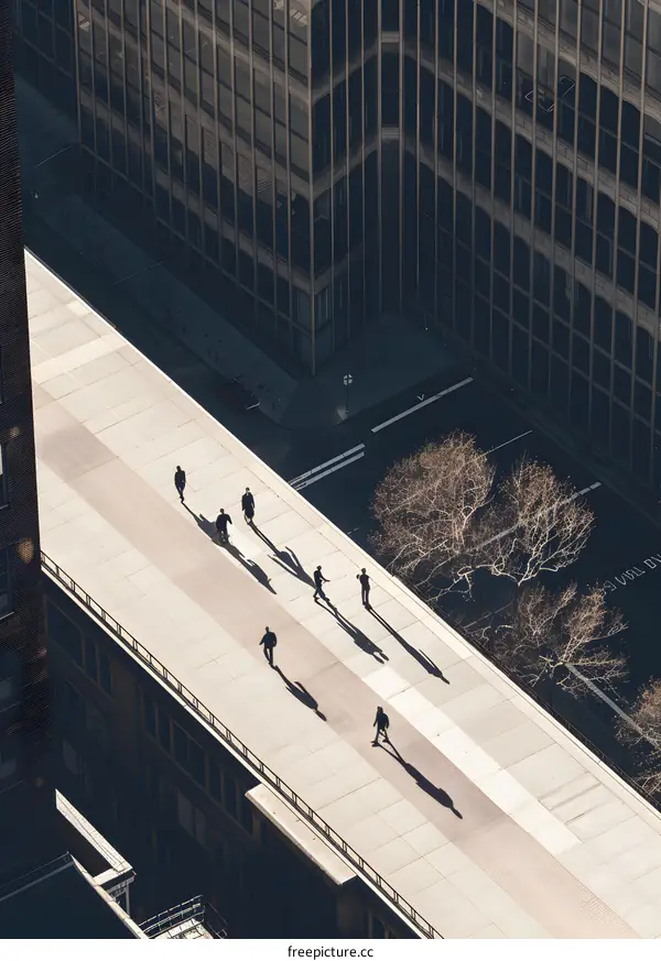 Aerial View of People Walking on a Street in the City