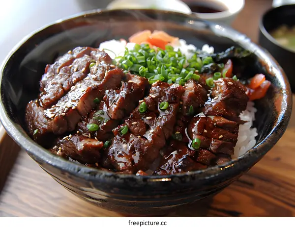 A bowl of beef on rice with green onions.