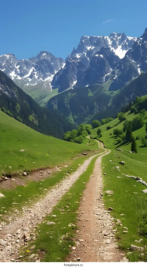 A rocky path leads to snow capped mountains
