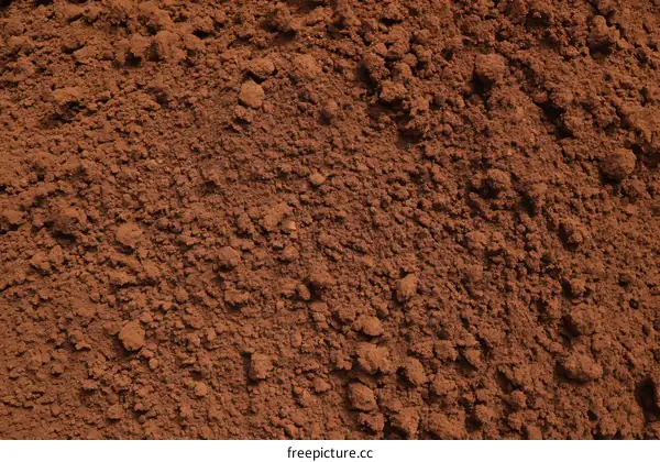 Close Up of Ground Coffee Powder