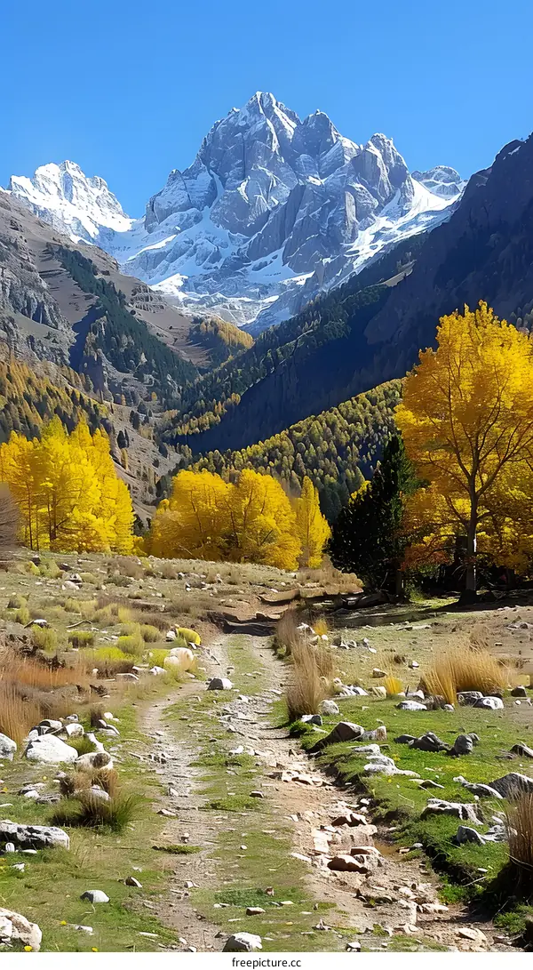 hiker walking on the mountain trail in the fall