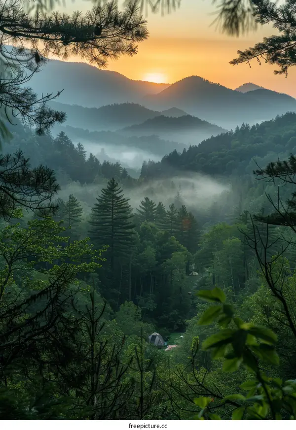 Sunrise Camping in the Great Smoky Mountains